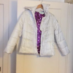 Winter Jacket